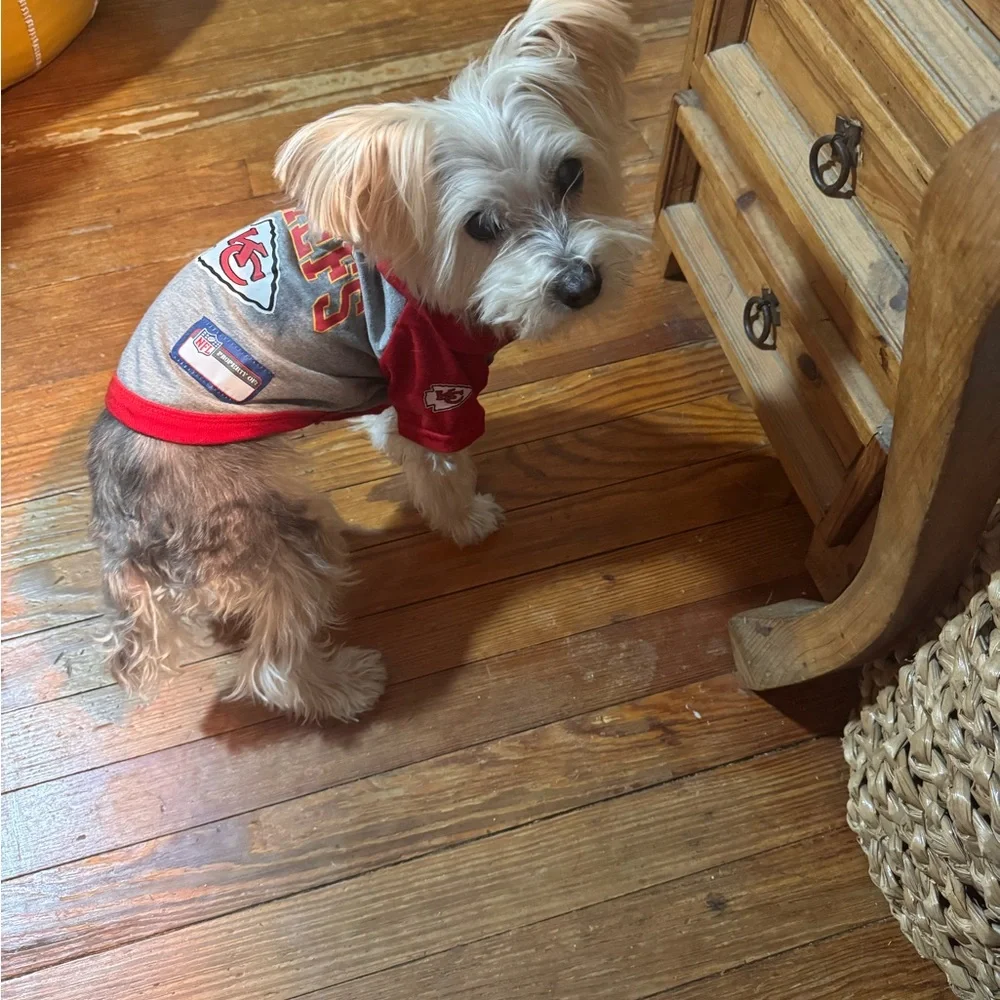 Boo & NFL Pup Jerseys